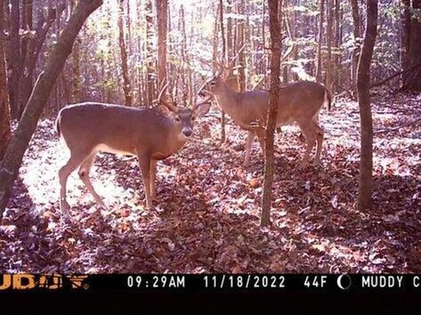 0 Pinola Braxton Rd, Braxton, MS 39044
