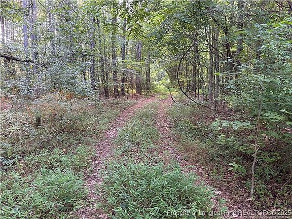 4th image of Christian Chapel Church Rd