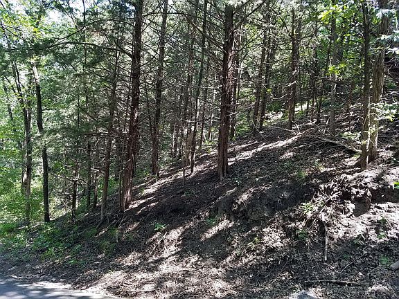 4th image of Hideaway Acres Lot 31