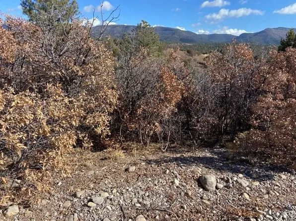 201 Oakmont Dr #8, Timberon, NM 88350