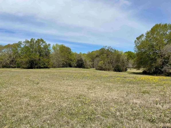 11 Belles Ln, Brownsboro, TX 75756