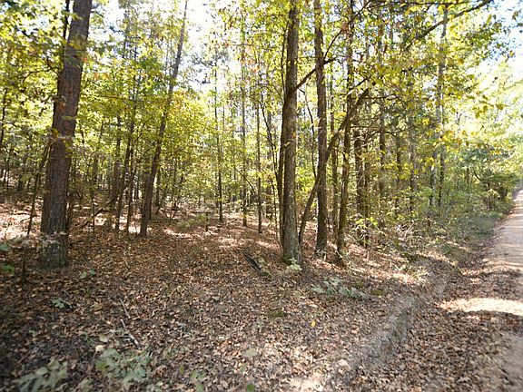 2nd image of Polk Rd #675