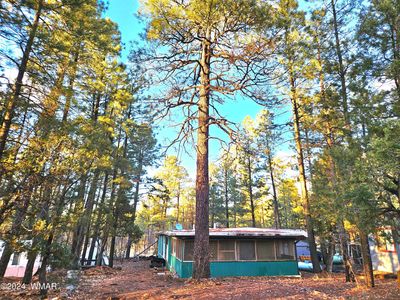 2762 Gold Dust Trl, Show Low, AZ, 85901