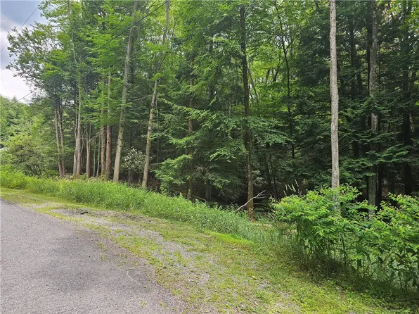 0 Bear Run Path, Central City, PA 15926