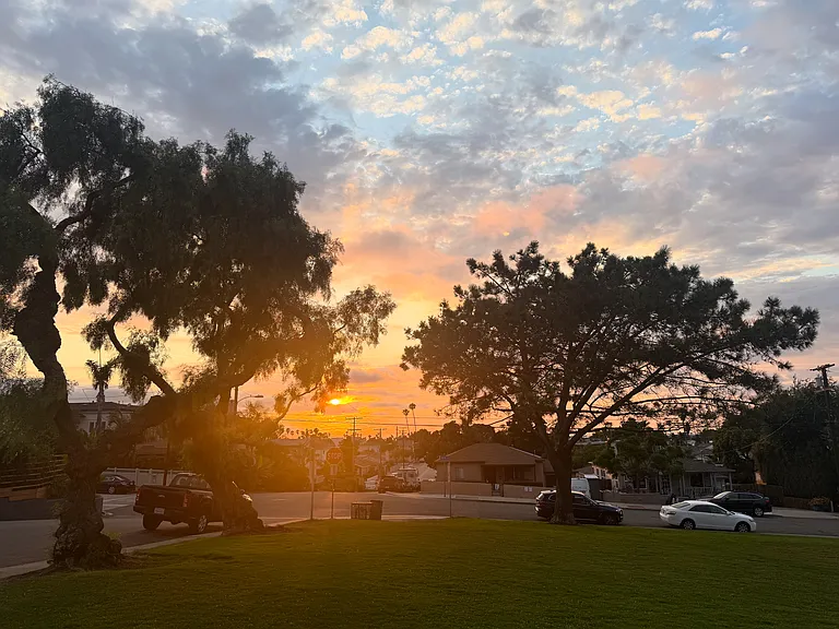 Collier Street Park is on the West and North sides of our building.
