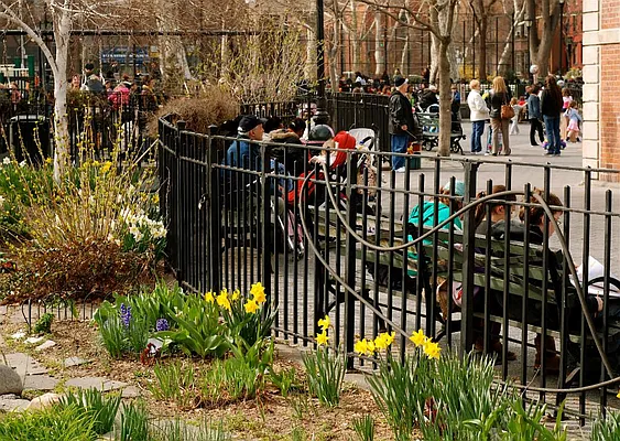 Rented by Brooklyn Bridge | media 10