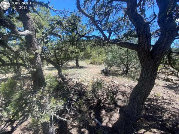 Township Road 142 Trl #17, Cotopaxi, CO 81223