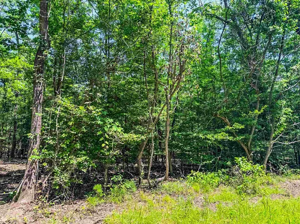 County Road 3420, Jefferson, TX 75657