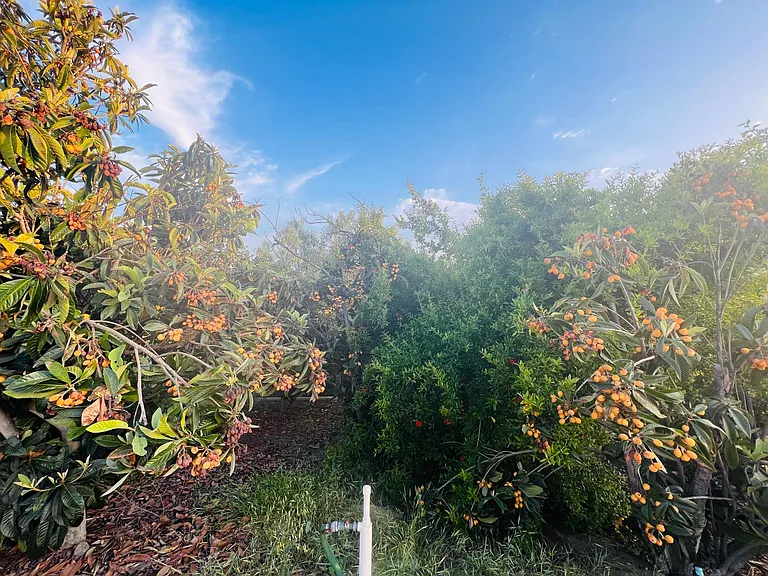 19044 Summit Ridge Dr — Photo 52