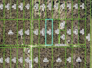 13317 Seneca Rd, Weeki Wachee, FL 34614