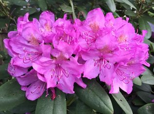 111 Benjamin Ter, Hampton, VA 23666