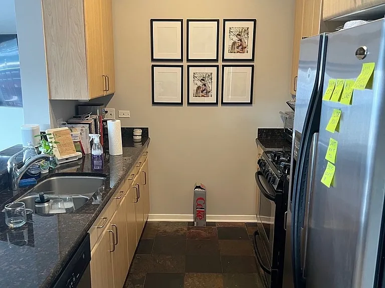 1546 N Orleans St #603 — Photo 20