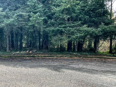 Tl2900 Se Rolph Ct, Waldport, OR, 97394