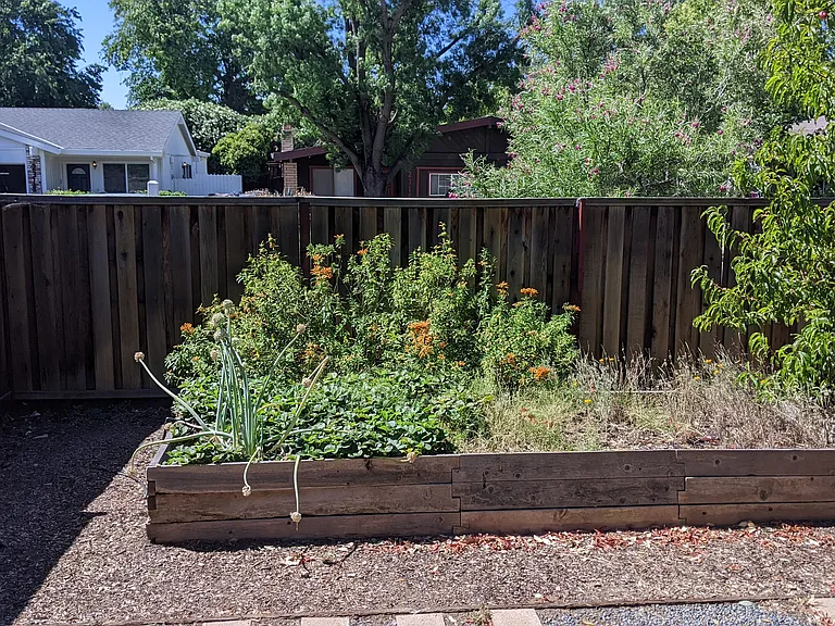 Front yard.