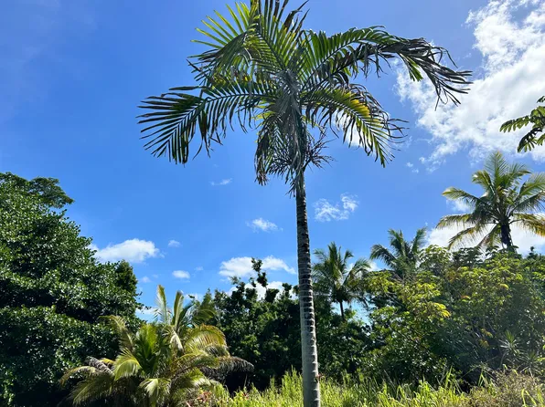 Uilani Dr Lot 38, Pahoa, HI 96778