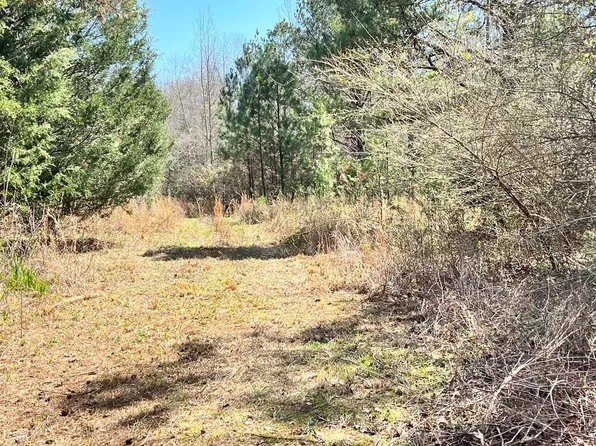 0 Merritt Rd, Eufaula, AL 36027