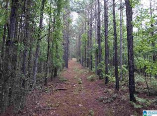 Hope Ln #252 ACRES, Goodwater, AL 35072