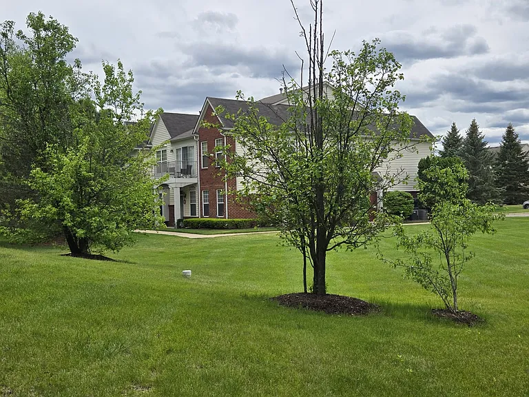 3215 Goldeneye Ln — Photo 43