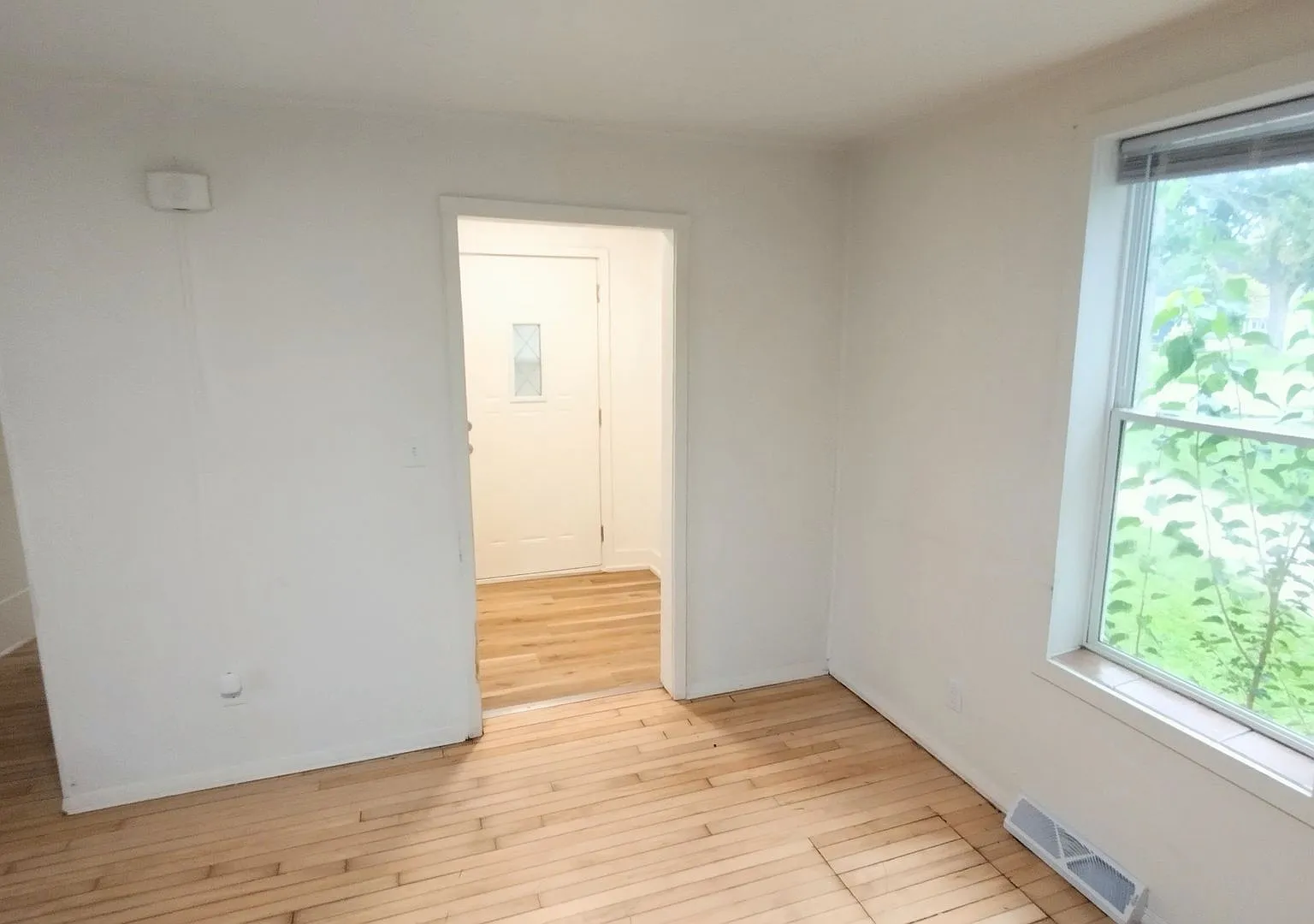 338 Eureka St — Photo 4
