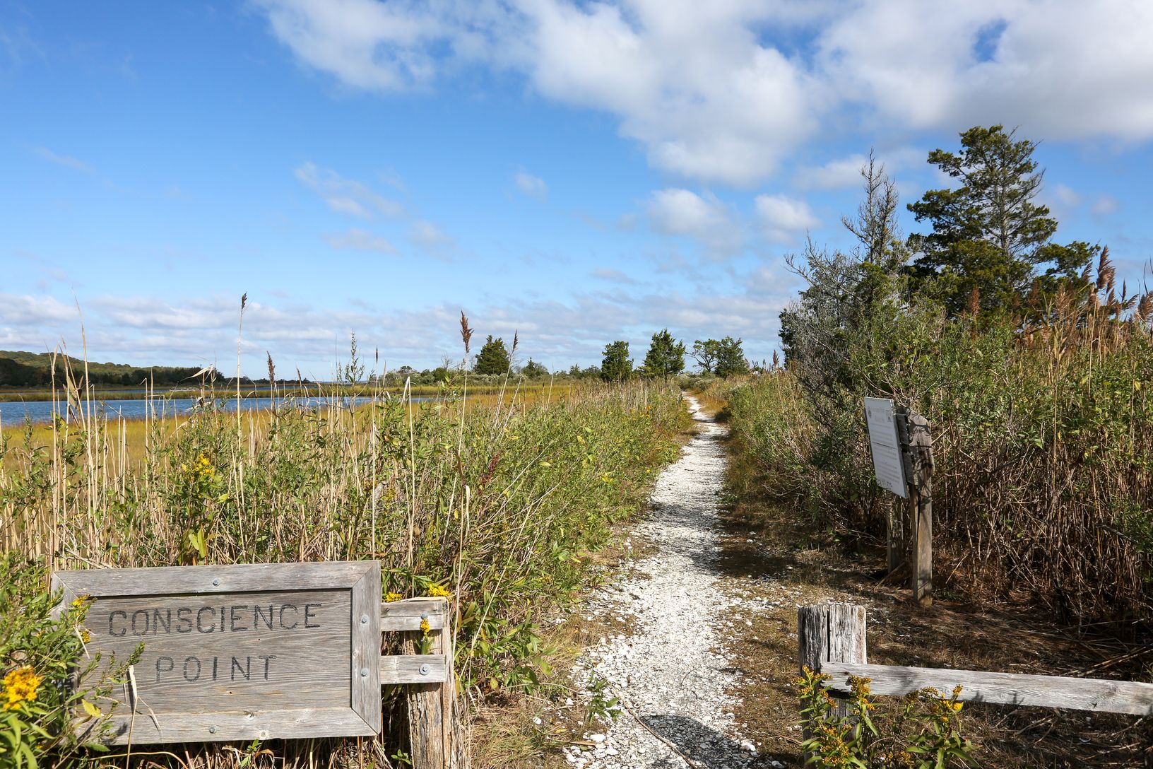  Near Conscience Point