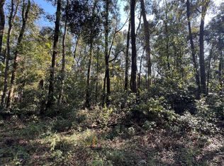 290th Ter LOT 5, Branford, FL 32008