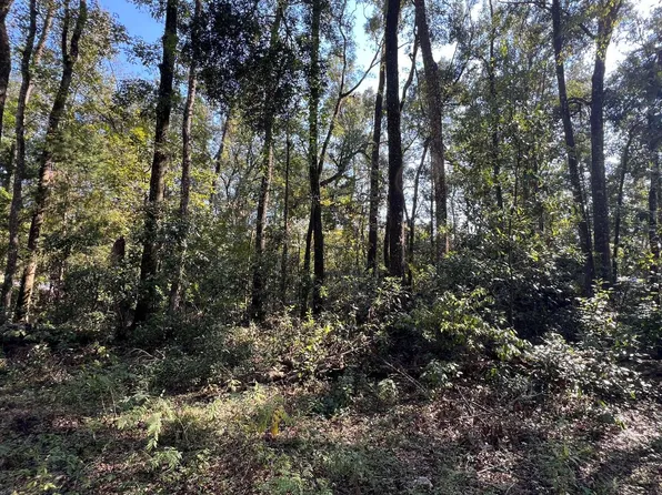 290th Ter Lot 5, Branford, FL 32008
