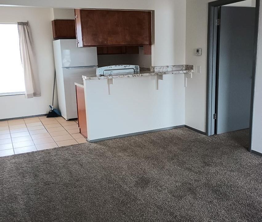 Livingroom and Kitchen