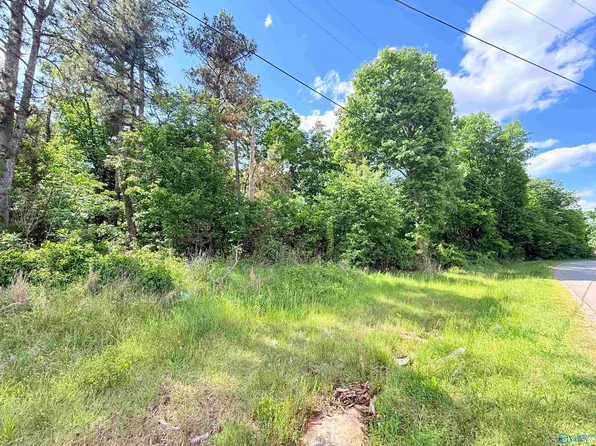 Water Tank Rd, Union Grove, AL 35175