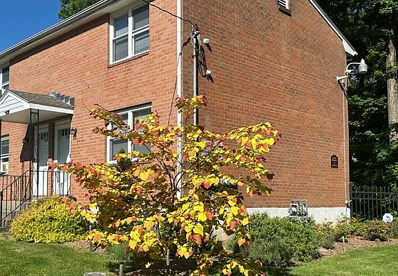 Home features lovingly-cared for landscaping.