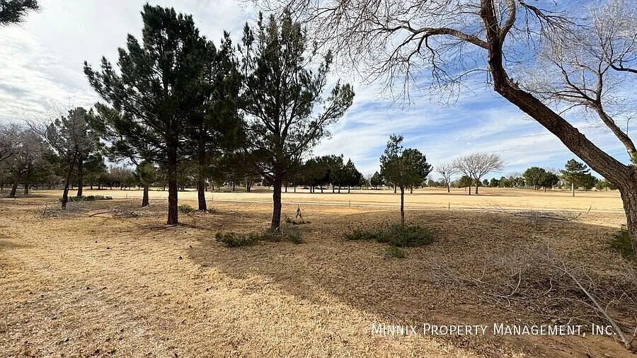 3 Bedroom/ 2 bath For Rent Lubbock | Frenship ISD | Pet Friendly | 156 Frankford Ct. — Photo 3