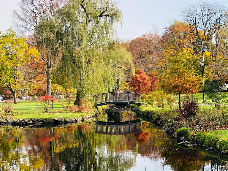 Nothing Beats the Picturesque Fall Views of Binney Park