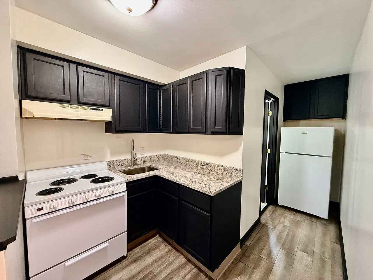1 bed, 700 sqft, $1,300 — Photo 4