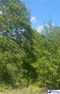 1529 Gwen Dr, Hamer, SC, 29547