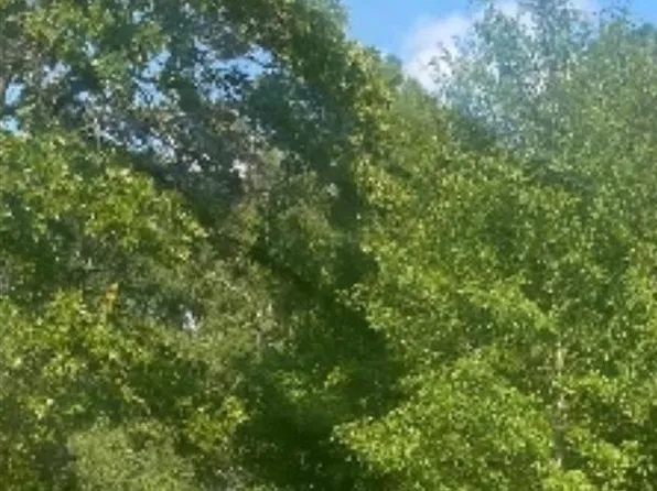 1529 Gwen Dr, Hamer, SC 29547