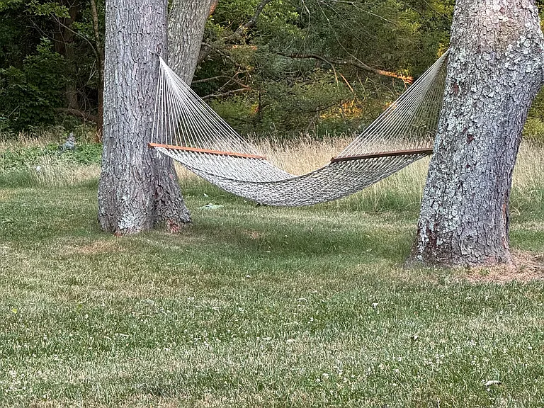 hammock