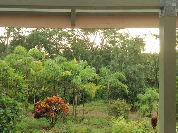 Orchard from porch