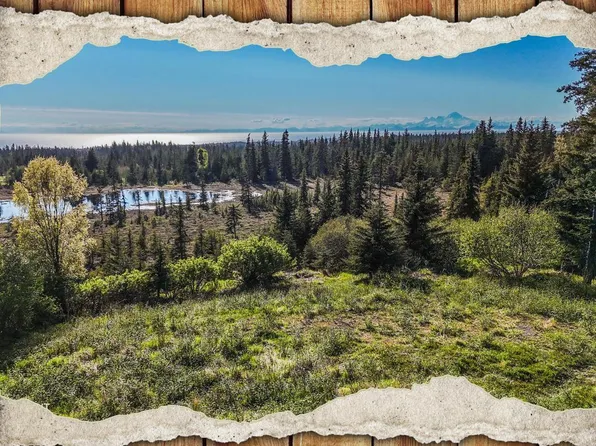 40285 Sterling Hwy, Homer, AK 99603