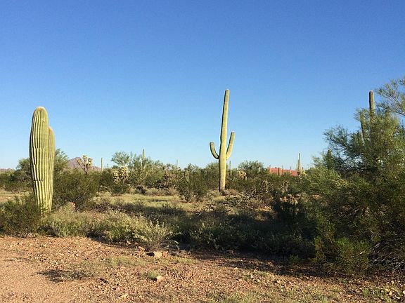 3rd image of 11715 W Tortoise Trl