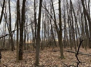 N Sheridan Rd, Edmore, MI 48829