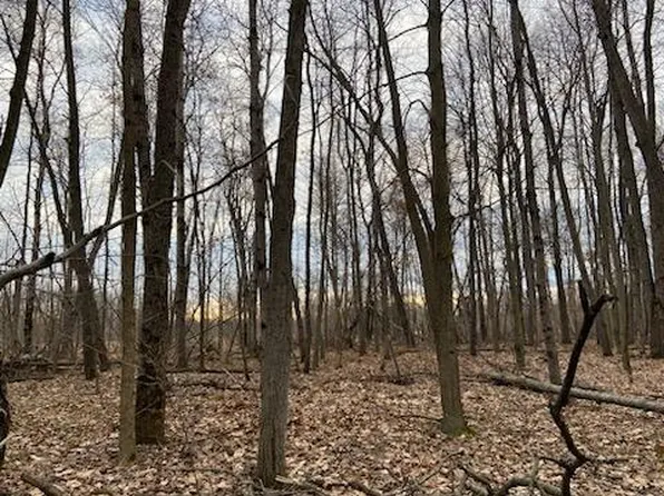 N Sheridan Rd, Edmore, MI 48829