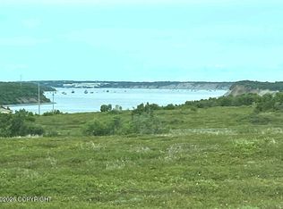 81 Lynx Loop, South Naknek, AK 99670