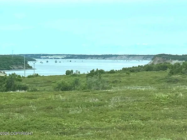 81 Lynx Loop, South Naknek, AK 99670