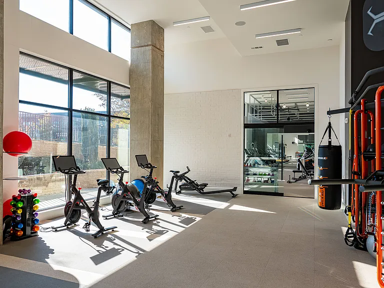 Halcyon Grand — Photo 7