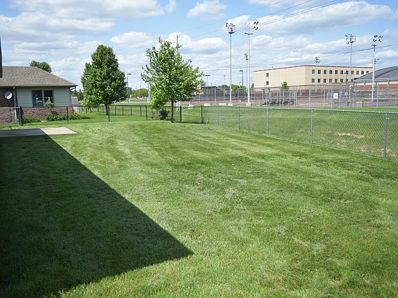 Fenced Back Yard