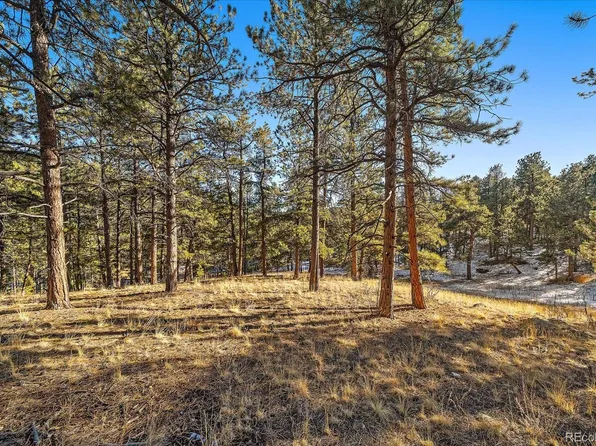 0000 Fish Pond Way, Pine, CO 80470