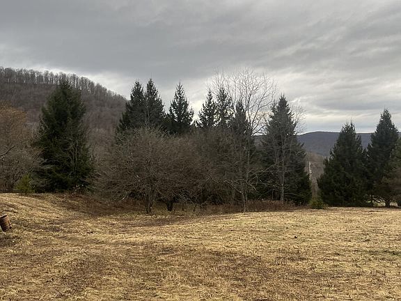 4th image of 105 Dogwood Rd