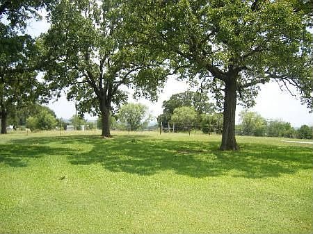 Side Yard