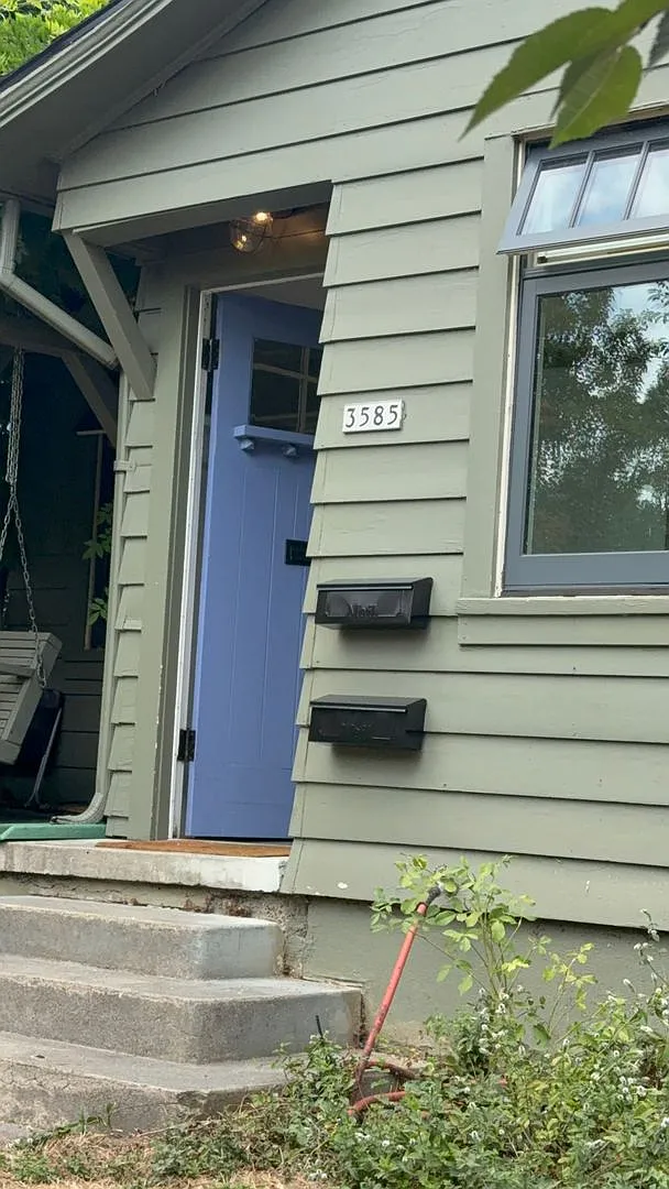The Vibe — Photo 3