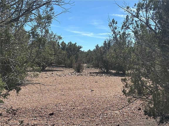 5th image of 245 E Badger Ridge Rd