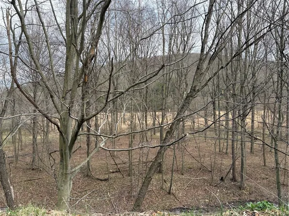 0 Philson Rd, Fairhope, PA 15538